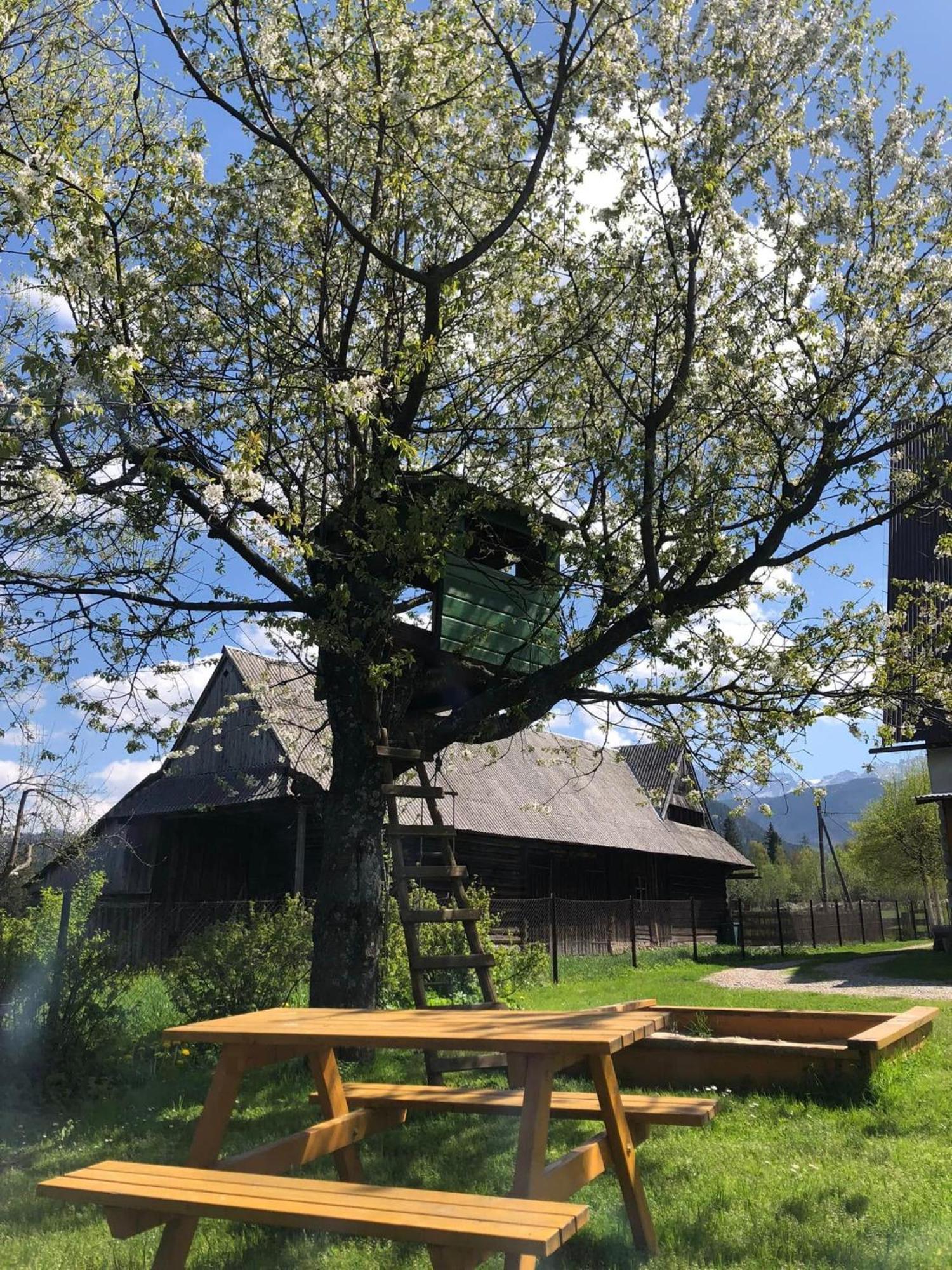 Pensjonat U Doroty, Zakopane - Twoje Miejsce W Gorach Luaran gambar